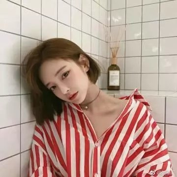 小布什传 封面